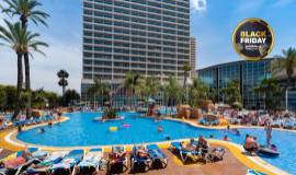 BLACK FRIDAY! Flamingo Oasis 20%