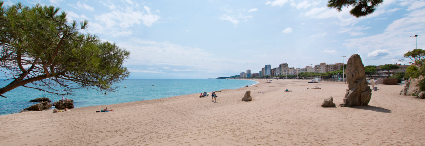 Discount 10% Hotel Monterrey - Platja d'Aro